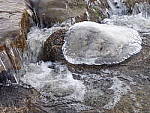 Click to see YP2120072-Flash.JPG