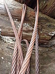 Click to see YP4120030.JPG