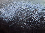 Click to see YP6220004.JPG