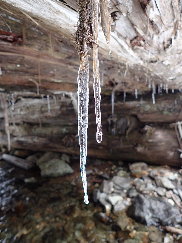 Olympus TG-4 Icicle Exposure