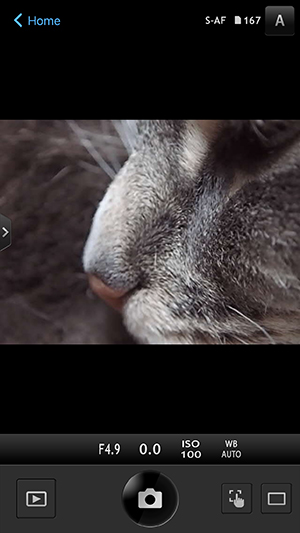 Olympus TG-4 Field Test -- Wireless App Screenshot