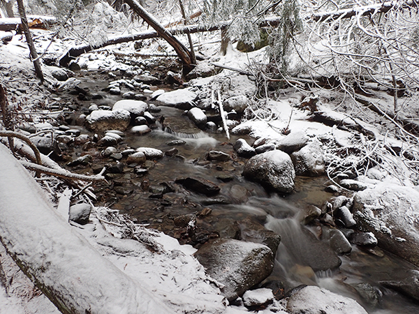 Olympus TG-4 Field Test -- Gallery Image