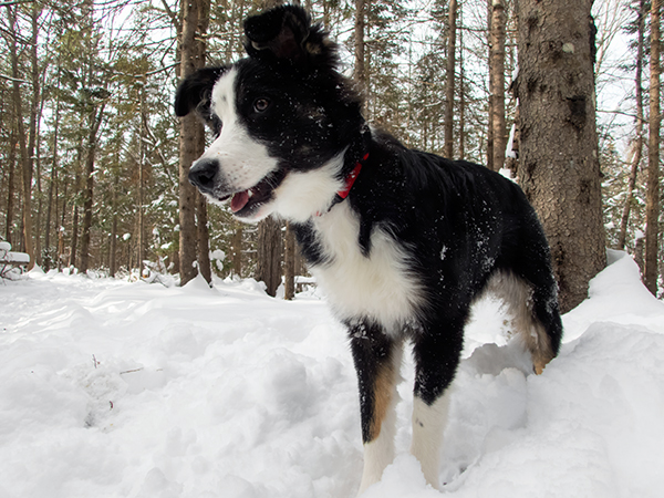 Olympus TG-4 Field Test -- Gallery Image