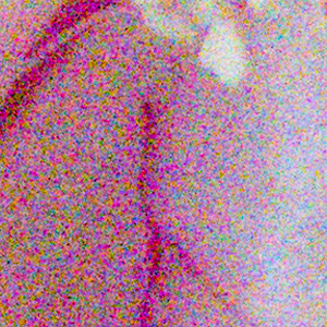 Olympus TG-4 Field Test -- Noise Test Image