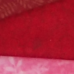 100% crop from Olympus TG-4 test image taken at ISO 100