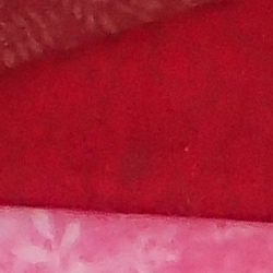 100% crop from Olympus TG-4 test image taken at ISO 200