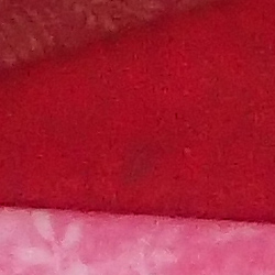 100% crop from Olympus TG-4 test image taken at ISO 400