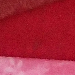 100% crop from Olympus TG-4 test image taken at ISO 800