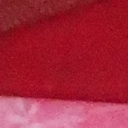 100% crop from Olympus TG-4 test image taken at ISO 1600