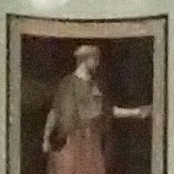 100% crop from Olympus TG-4 test image taken at ISO 3200