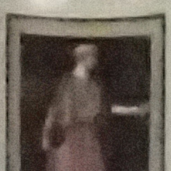 100% crop from Olympus TG-4 test image taken at ISO 6400
