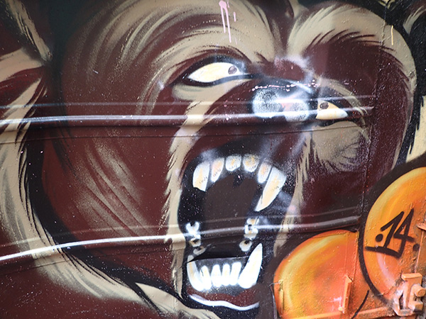 Olympus TG-4 Bear Mural