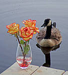 Click to see YE-200115-EDT.JPG