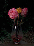 Click to see YE-200261-EDT.JPG