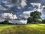 Click to see YE-210399-EDT.JPG