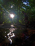 Click to see YE-250855-EDT.JPG
