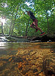 Click to see YE-250858-EDT.JPG