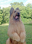 Click to see YE-250873-EDT.JPG