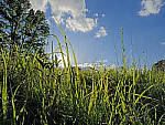 Click to see YE-250918-EDT.JPG
