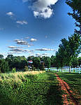 Click to see YE-250921-EDT.JPG