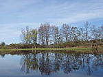 Click to see YP5120388.JPG