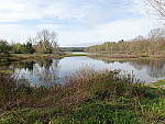 Click to see YP5140433.JPG