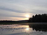 Click to see YP5210545.JPG