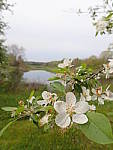 Click to see YP5210585.JPG