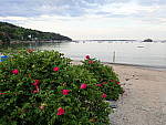 Click to see YP6200621.JPG