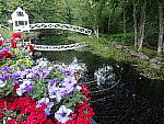 Click to see YP6200643.JPG