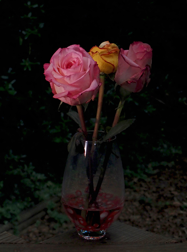 Olympus TG-5 - Sample Image