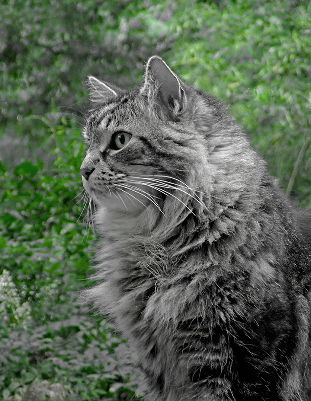 Olympus TG-5 - Sample Image