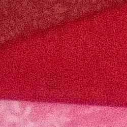 100% crop from Olympus TG-5 test image taken at ISO 1600