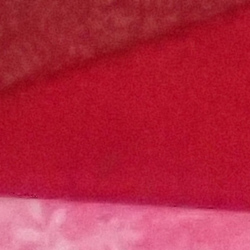 100% crop from Olympus TG-5 test image taken at ISO 1600