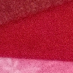 100% crop from Olympus TG-5 test image taken at ISO 3200