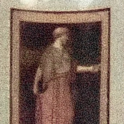 100% crop from Olympus TG-5 test image taken at ISO 3200