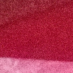 100% crop from Olympus TG-5 test image taken at ISO 6400