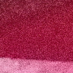 100% crop from Olympus TG-5 test image taken at ISO 12800