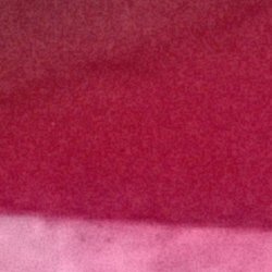 100% crop from Olympus TG-5 test image taken at ISO 12800