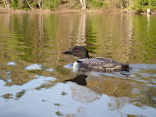 Olympus TG-5 Review: Field Test -- Gallery Image