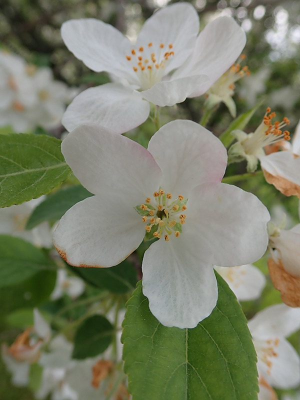 Olympus TG-5 Review: Field Test -- Gallery Image