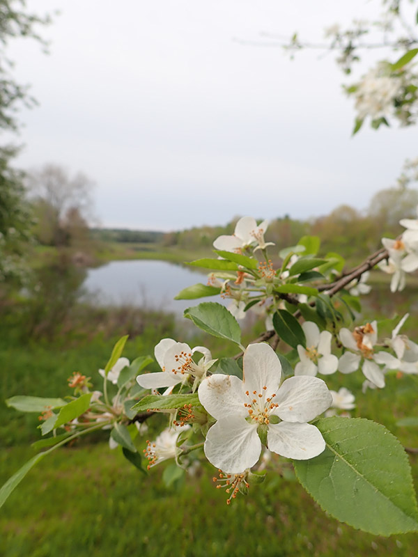 Olympus TG-5 Review: Field Test -- Gallery Image