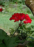 Click to see Y-DP-0066-edt.JPG