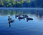 Click to see Y-DP-0163-edt.JPG