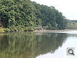 Click to see Y-OLYMPUS-TG2-TELE.JPG