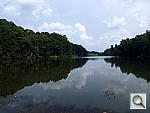 Click to see Y-OLYMPUS-TG2-WIDE.JPG