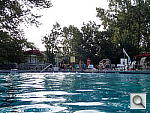 Click to see YAW2-OLYMPUS-TG2.JPG