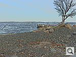 Click to see Y_FX_P4240734.JPG