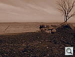Click to see Y_FX_P4240736.JPG