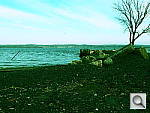 Click to see Y_FX_P4240737.JPG